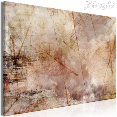 Kép - A természet lenyomata