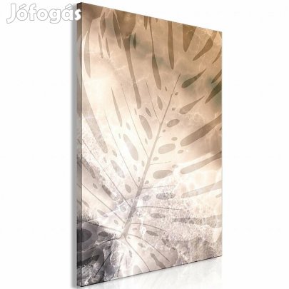 Kép - Amber Monstera