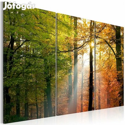 Kép - Átszűrődő napsugarak 5