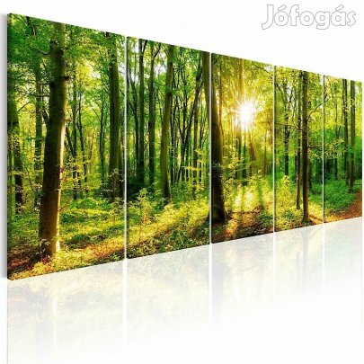 Kép - Átszűrődő napsugarak 6