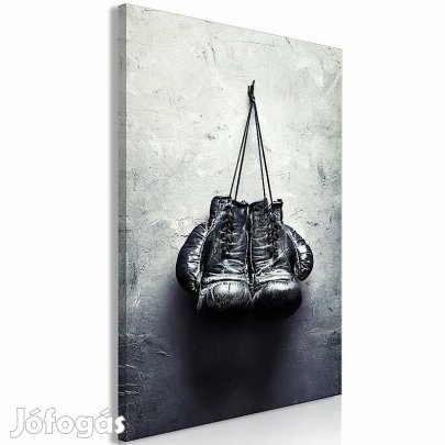Kép - Bokszkesztyűk