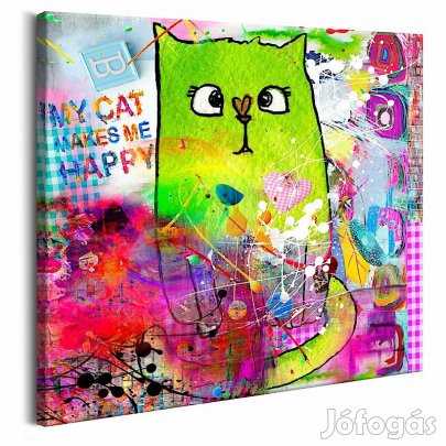 Kép - Bolond macska
