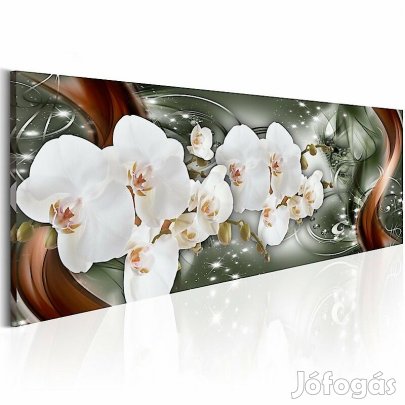 Kép - Csillagtánc 2