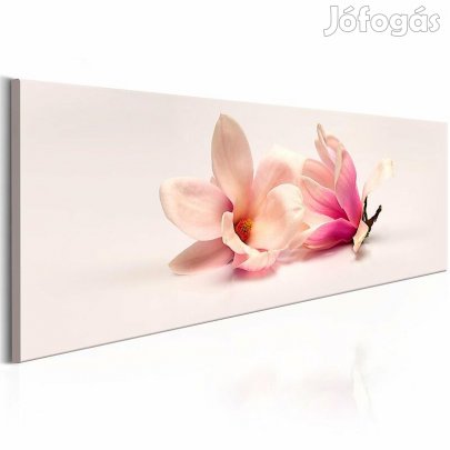 Kép - Csodálatos Magnóliák