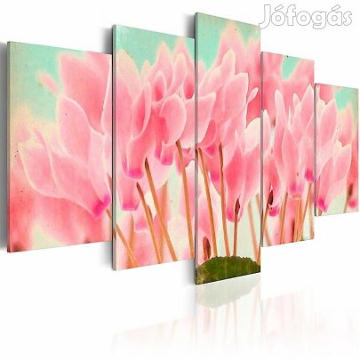 Kép - Cyclamen G2b6SkDoGl