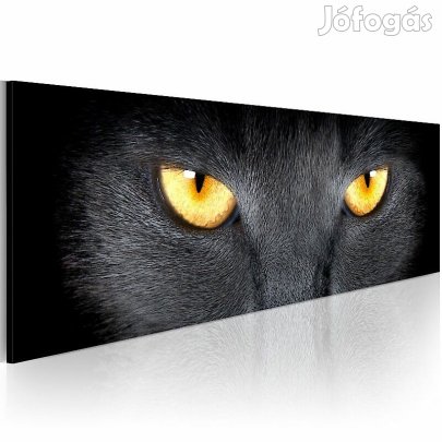 Kép - Dermesztő szempár