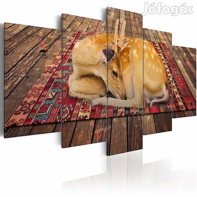 Kép - Domestication - 5 pieces