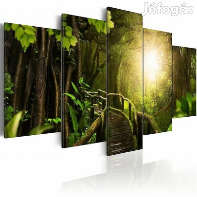 Kép - Dzsungel SUGxlthtJE