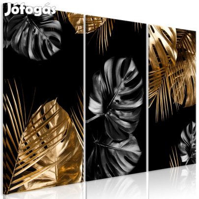 Kép - Dzsungelben 1