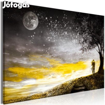 Kép - Egy teliholdas éjszakán