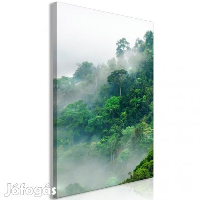 Kép - Egzotikus erdő 2