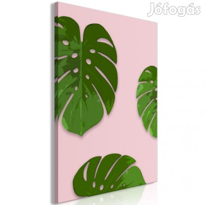 Kép - Egzotikus levelek