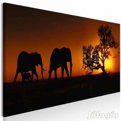 Kép - Elefánt família (narancs)