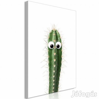 Kép - Élő kaktusz