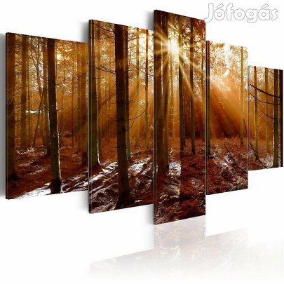 Kép - Erdei kalandok 25