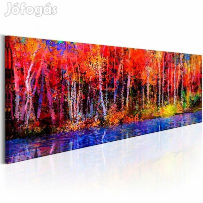 Kép - Erdő őszi színekben