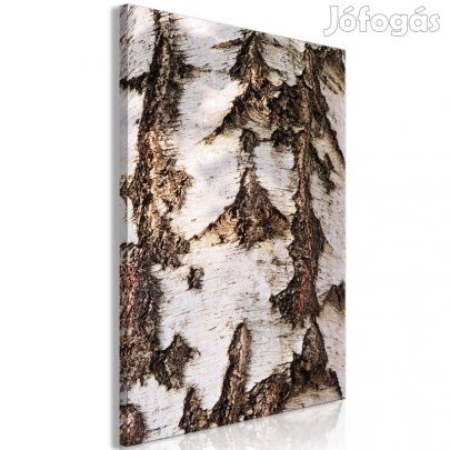 Kép - Fakéreg VB9JkdtZXs