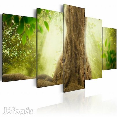 Kép - Fatörzs és zöld lombok