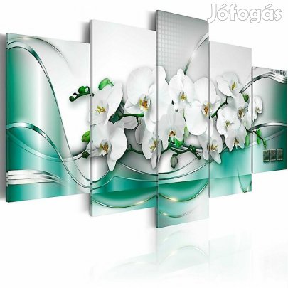 Kép - Fehér Orchidea fürt