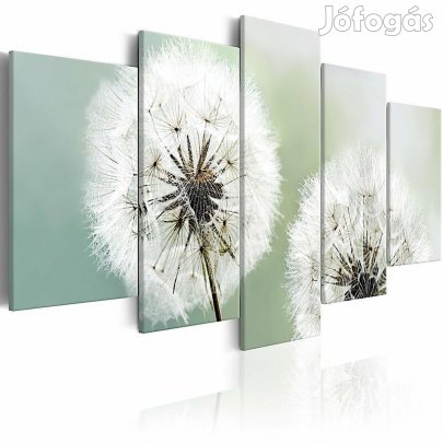 Kép - Fehér pitypang 2