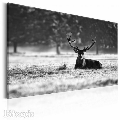 Kép - Fekvő szarvas (fekete-fehér)