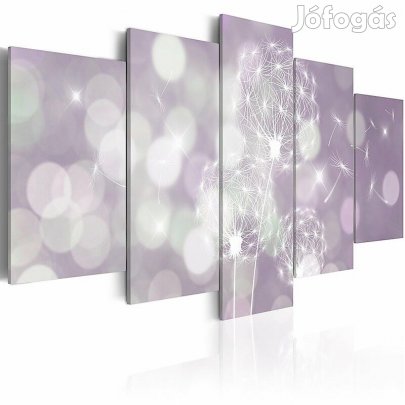 Kép - Fény ajándéka 1