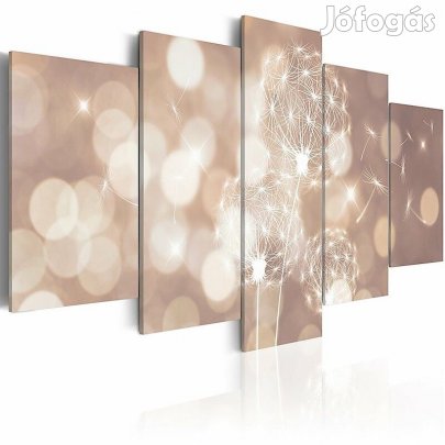 Kép - Fény ajándéka 2