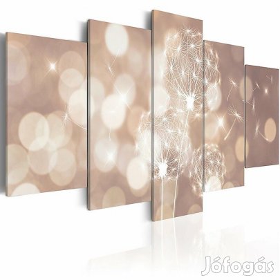 Kép - Fény ajándéka 2