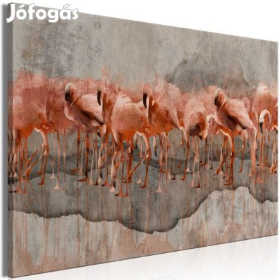 Kép - Flamingók a tavon