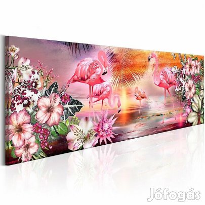 Kép - Flamingók földje 1