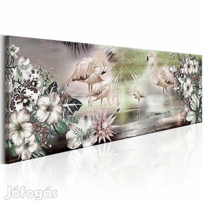 Kép - Flamingók földje 3