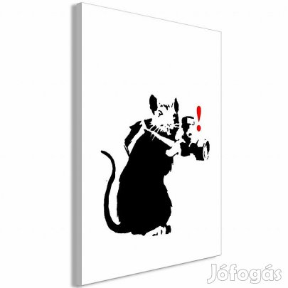 Kép - Fotós patkány