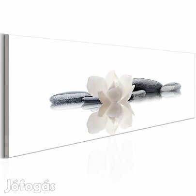 Kép - Fürdő relaxáció