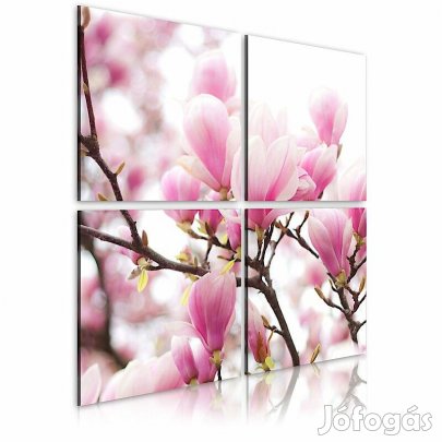 Kép - Gyönyörű magnólia