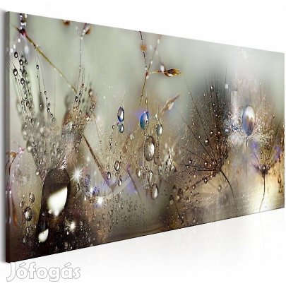 Kép - Harmatos Pitypang 2