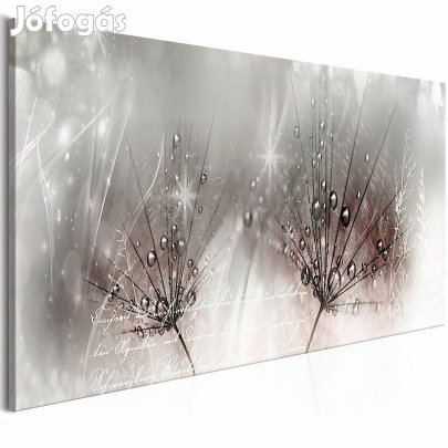 Kép - Harmatos Pitypang 6