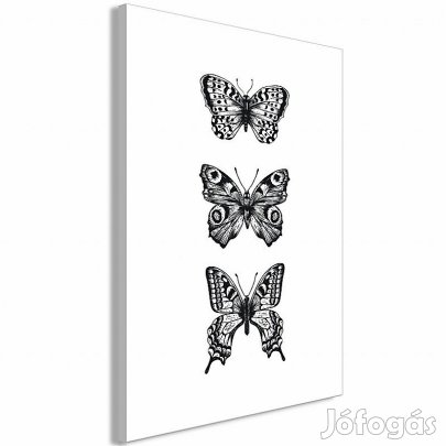 Kép - Három pillangó