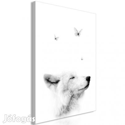 Kép - Határozott tekintet