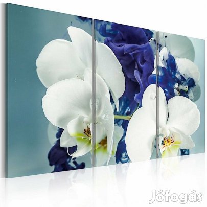 Kép - Határtalan képzelet