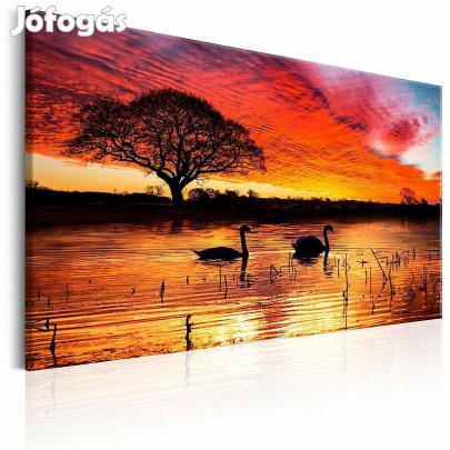 Kép - Hattyúk a tavon napnyugtakor