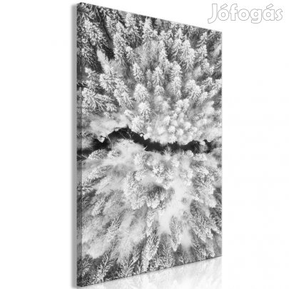 Kép - Havas táj a magasból