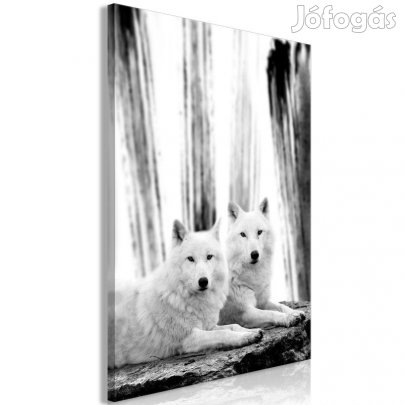 Kép - Hófehér szeretet