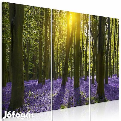 Kép - Jácint mező 2