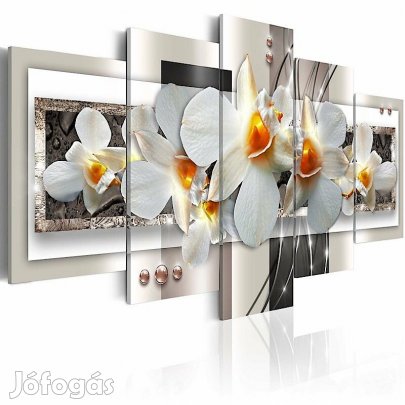 Kép - Január AsV2Md8OZkG