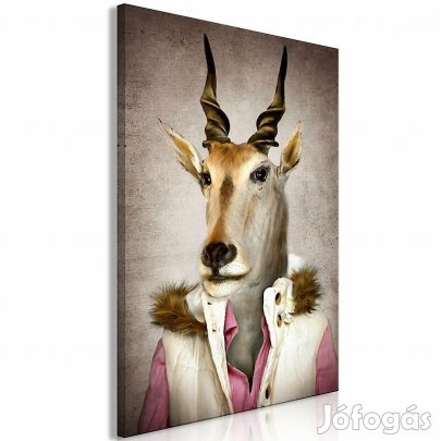 Kép - Jessica antilop