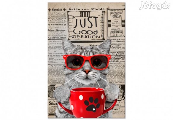 Kép - Kávézó Cica