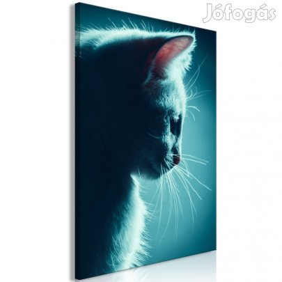 Kép - Kíváncsi cica