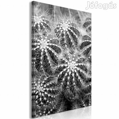 Kép - Kockázatos kaland