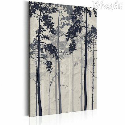 Kép - Ködös erdő