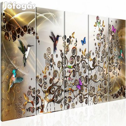 Kép - Kolibrik tánca 1